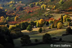 cevennes, automne, 2025,